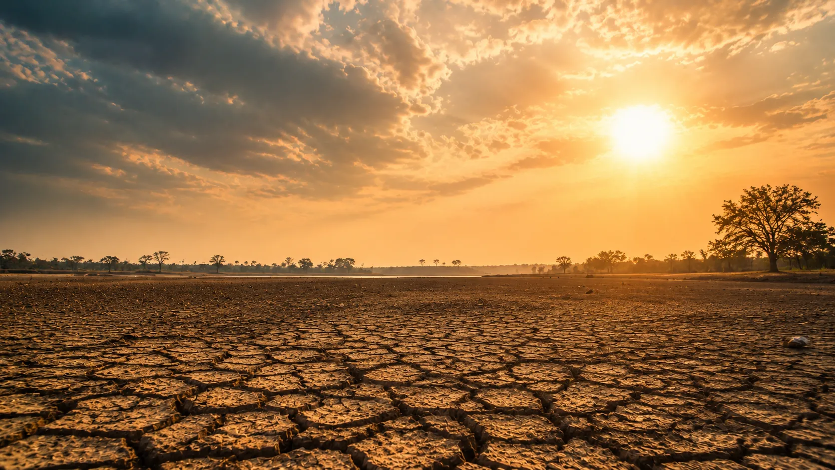 Monsoon Update: Why did the rains disappear after four days of heavy downpour? Meteorologists reveal the reason behind the intense heat.