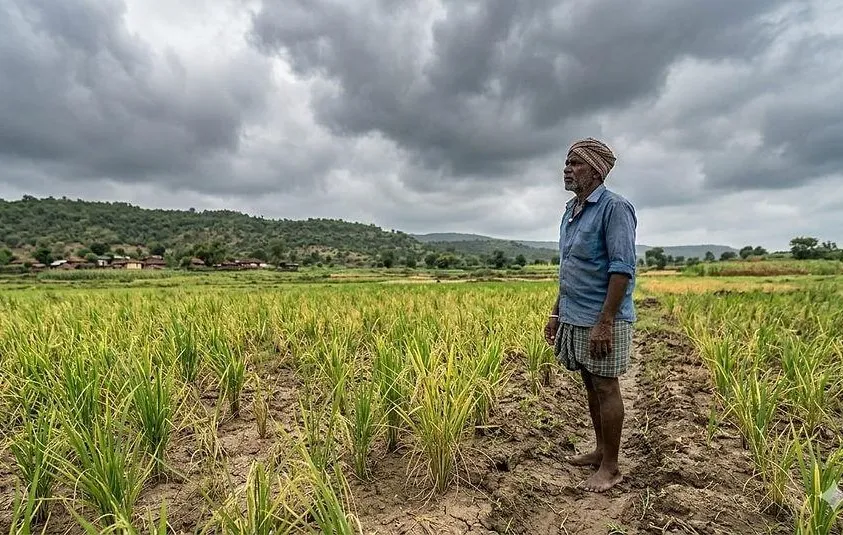 Maharashtra Weather Update: Meteorological Department Predicts Uneven Rainfall and Below-Average Spells for the Next Four Weeks, Raising Concerns for Farmers!
