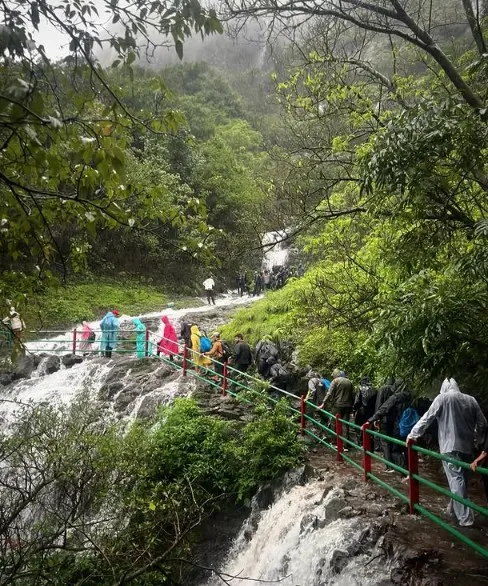 Andharban Trek Reopens: Nature Lovers' Wait is Over as Forest