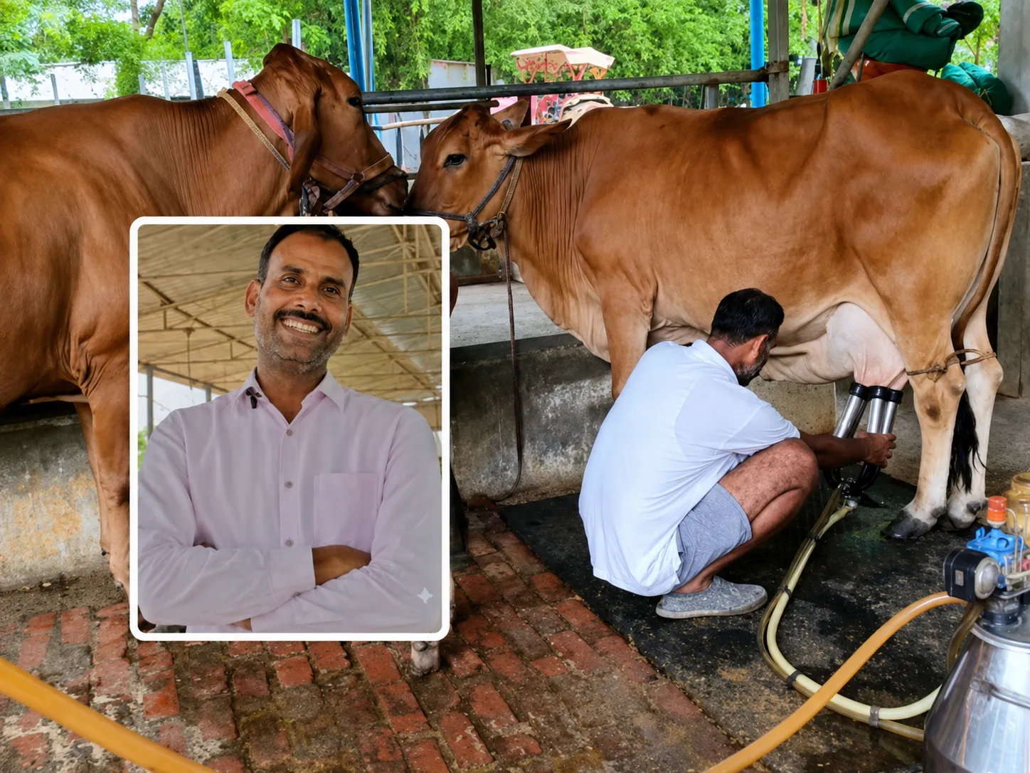 Inspiring Success Story: Mortgaging Land for Mother's