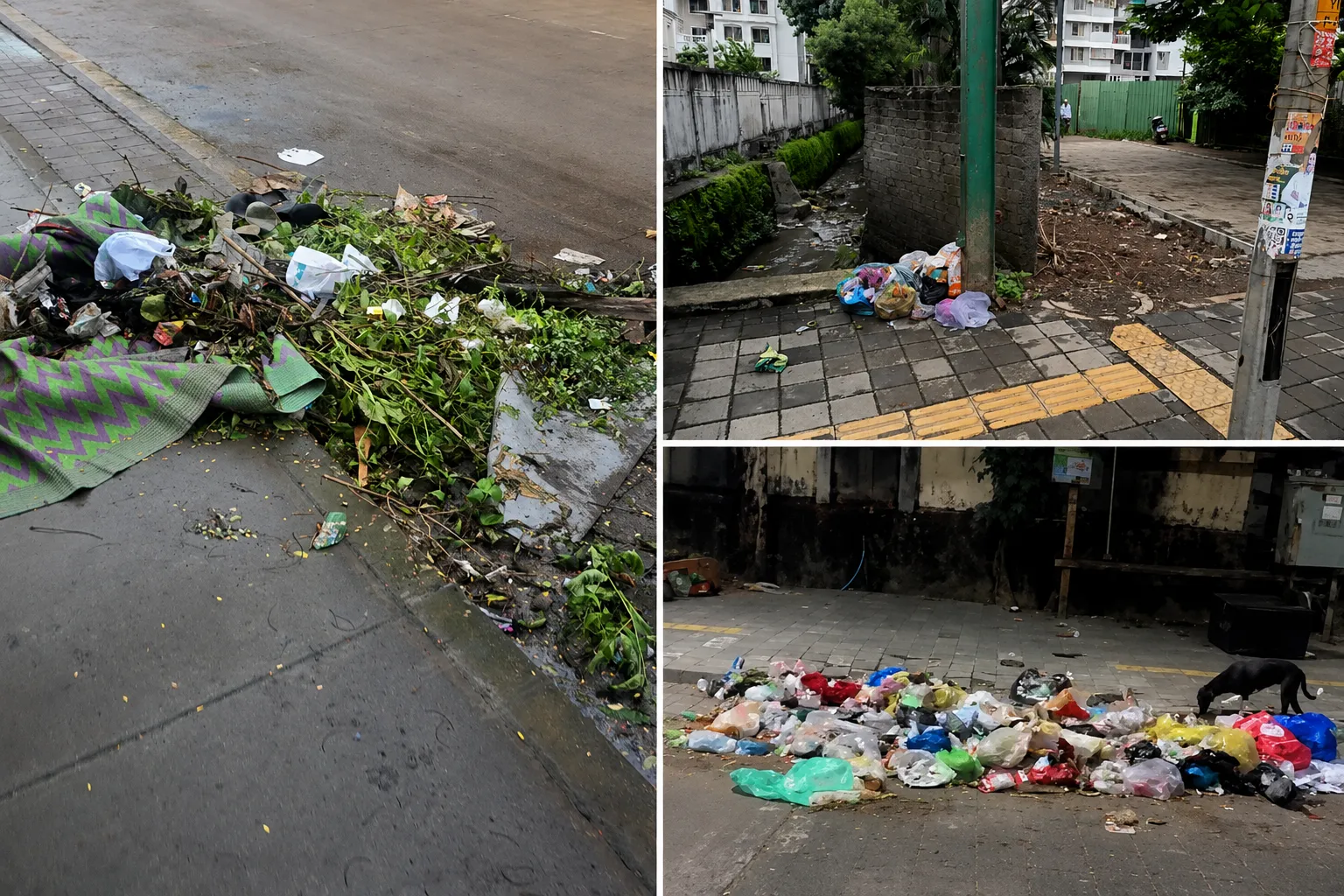 Garbage Hub Alert in Wakad: Residents Struggle with Waste