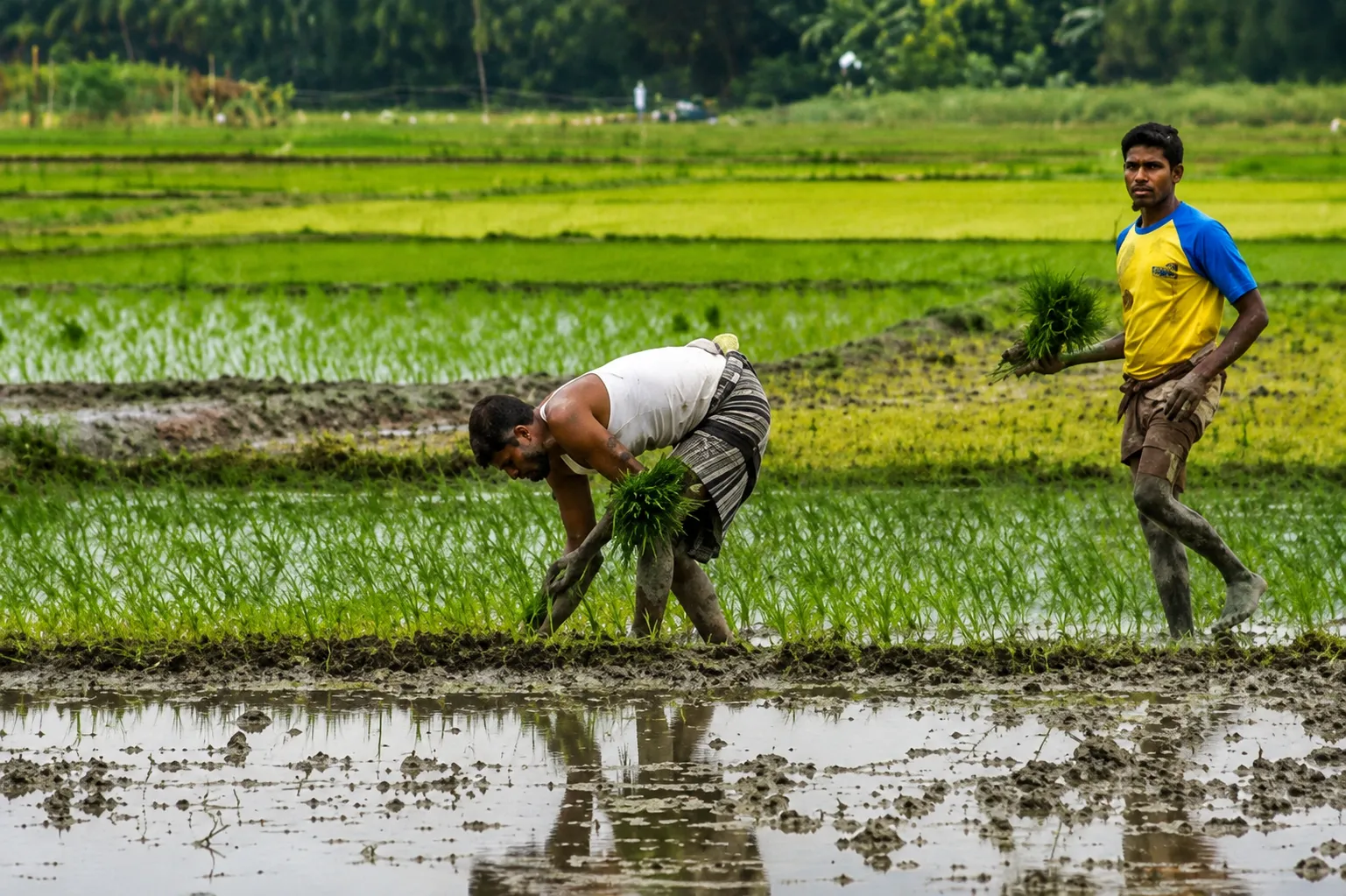Golden Opportunity for Farmers Get 2 Lakh Grant