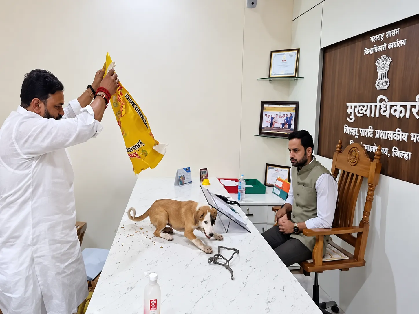 Unique Protest in Niphad: Stray Dogs Unleashed Directly Inside Chief Officer's