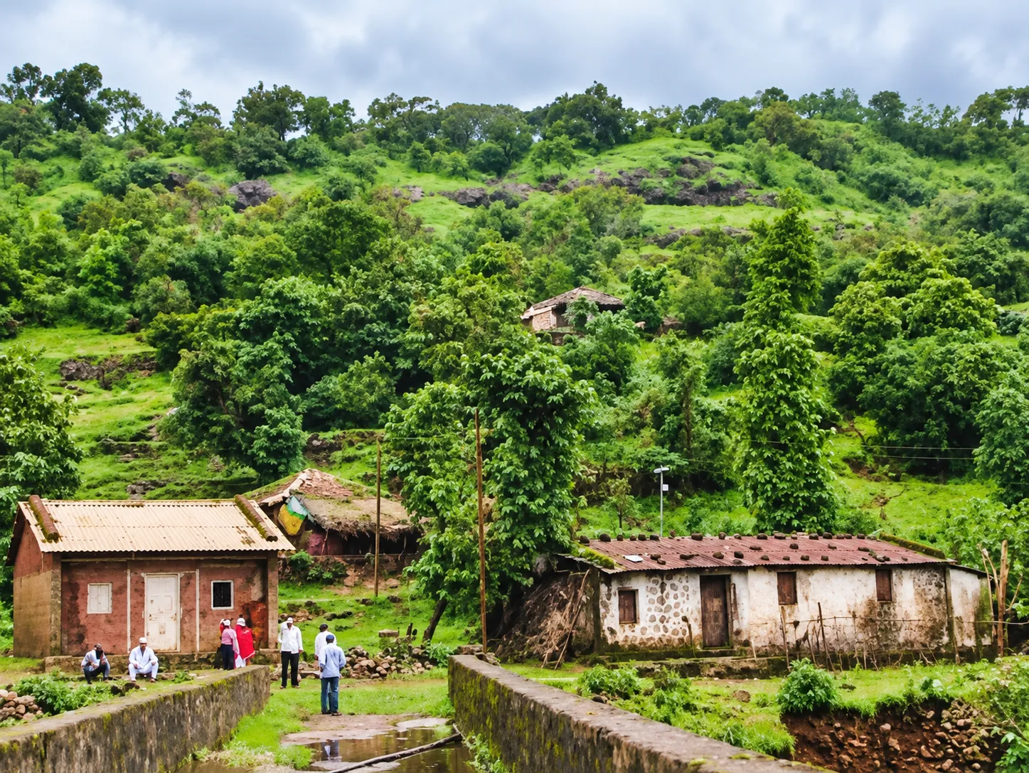 Path Cleared for Rehabilitation of 96 Families in Bhimashankarwadi: