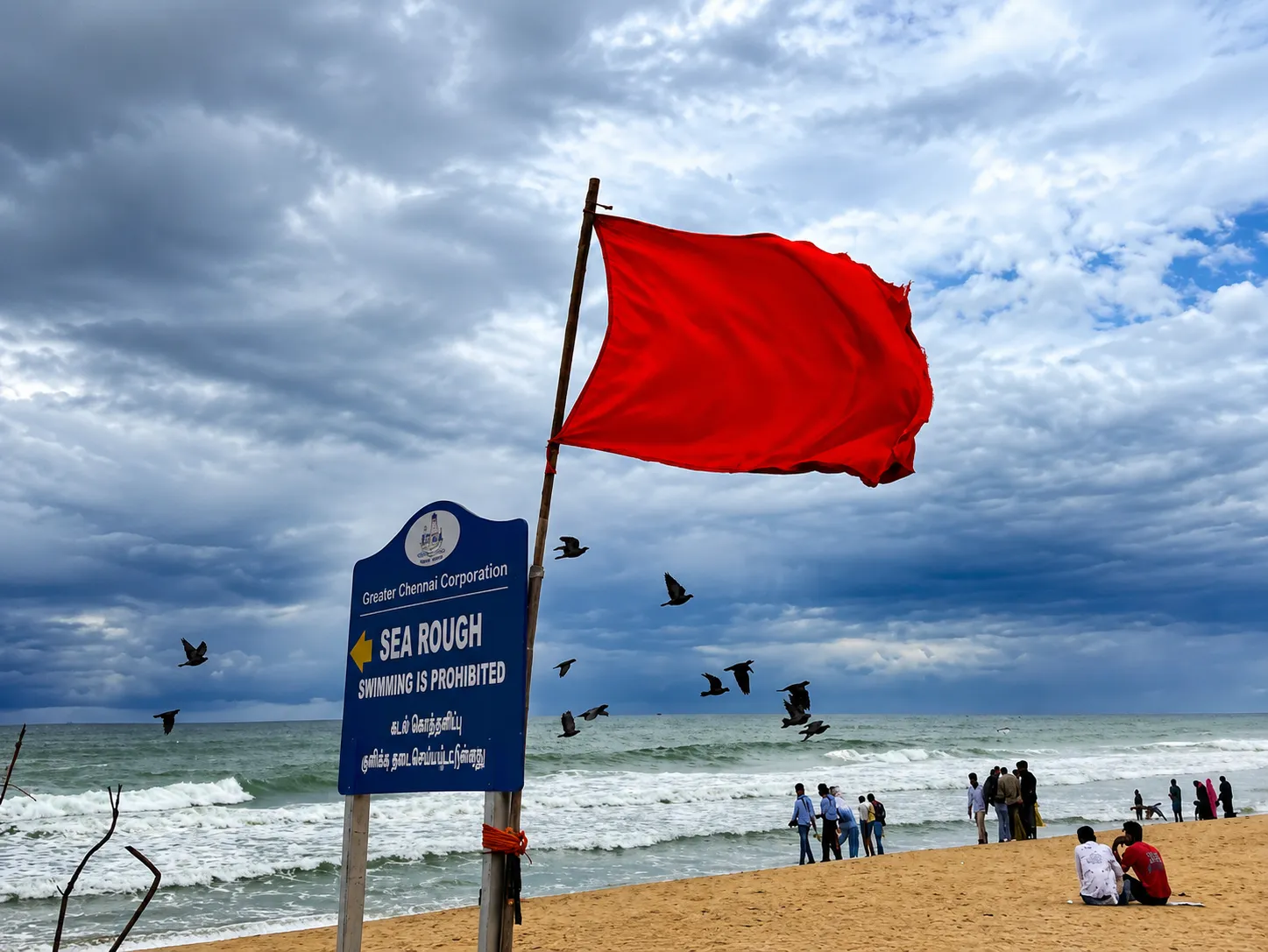Bombay High Court Calls for Uniform Beach Safety Policy: