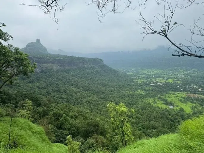 Threat to Environment is Real, But Address is Wrong: Torrent Power Project Proposed in Karjat,