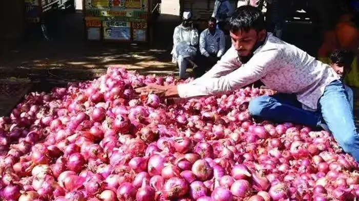 Onion Prices Bring Tears to Eyes: Impact of Reduced Production and Mathadi Workers'