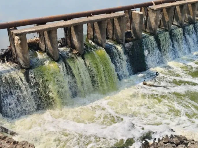 Indrayani River Pollution in Alandi Endangers Warkaris' Health as Toxic Waste Spreads